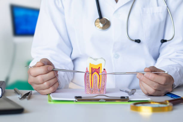 Best Emergency Pediatric Dental Care in North Edwards, CA